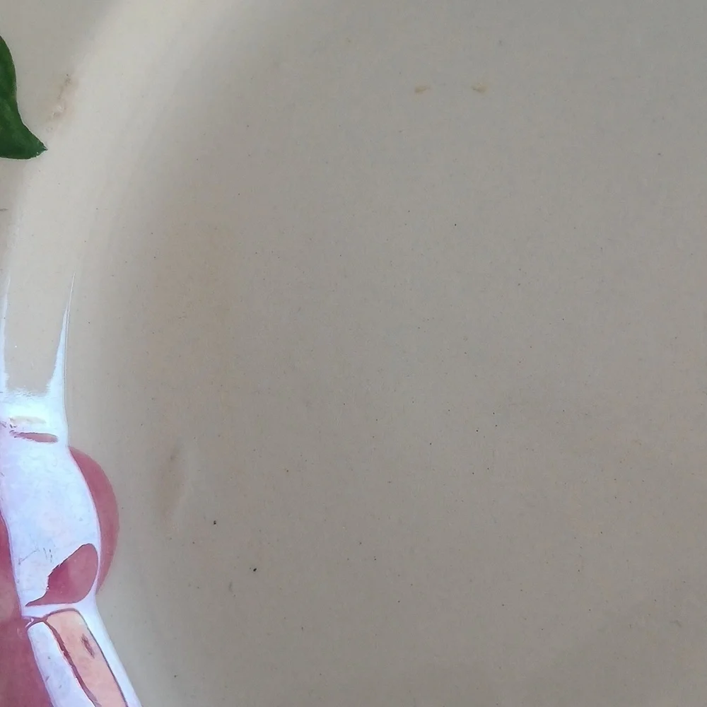 Vintage Franciscan Desert Pink Rose Dinner Plate Mid Century Modern